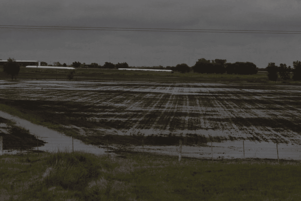 Santa Fe: abundantes precipitaciones en la zona núcleo, falta de lluvia en el centro provincia