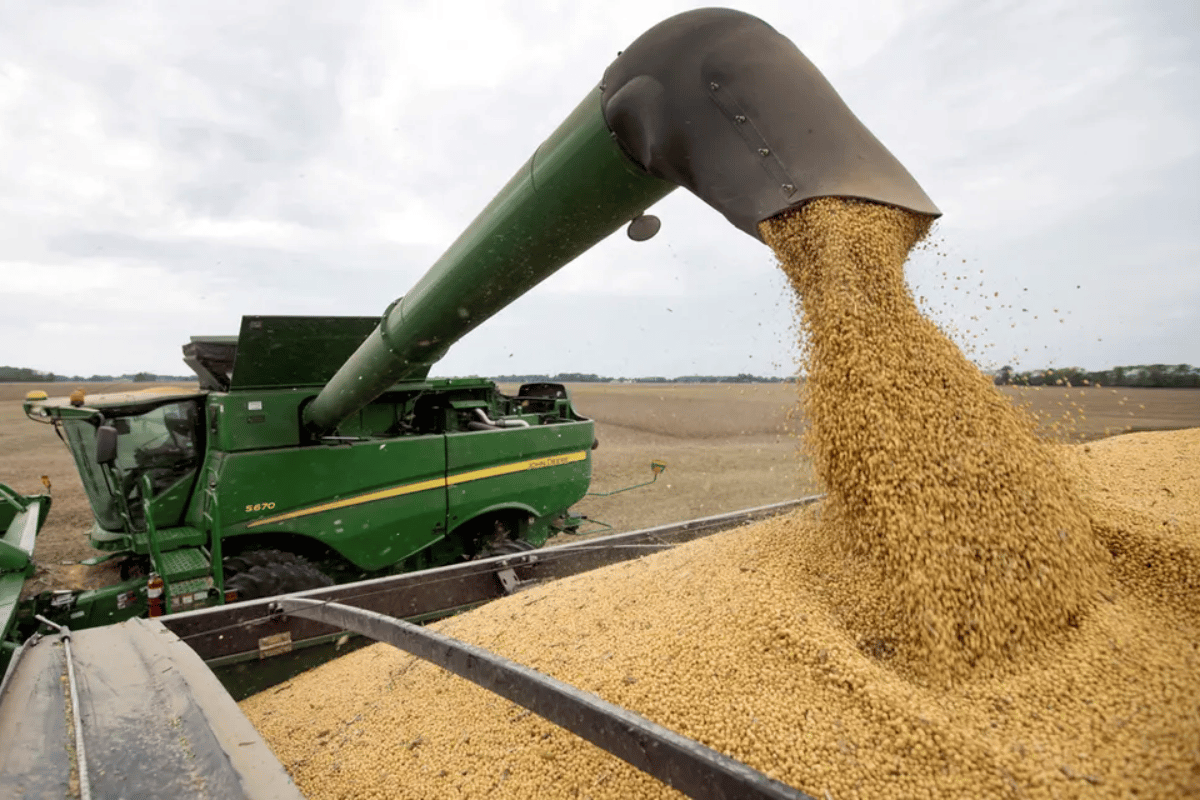 El complejo oleaginoso-cerealero aportó en 2022 el 48 % del total de las exportaciones de la Argentina, según el Indec.