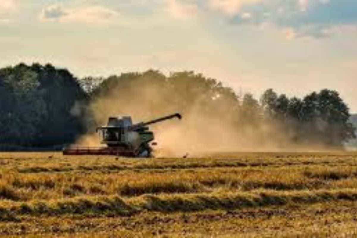 En octubre, después de 18 meses consecutivos de bajas, el sector agropecuario mostró un alza del 2,3% interanual, impulsado por las labores de la campaña de trigo.