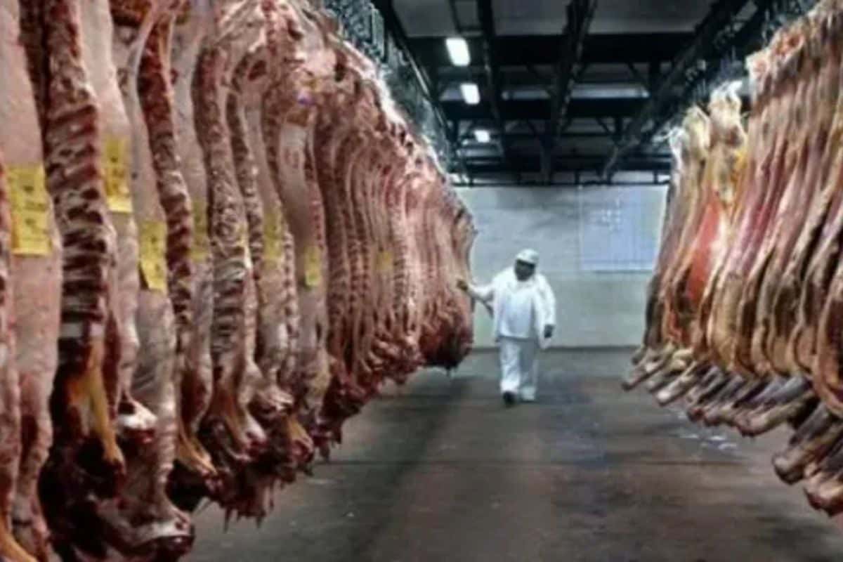 Las exportaciones de carne alcanzan niveles máximos desde 2009