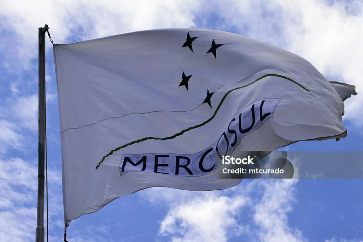 La Cámara de Comercio y la Unión Industrial abogan por la firma del acuerdo UE-Mercosur
