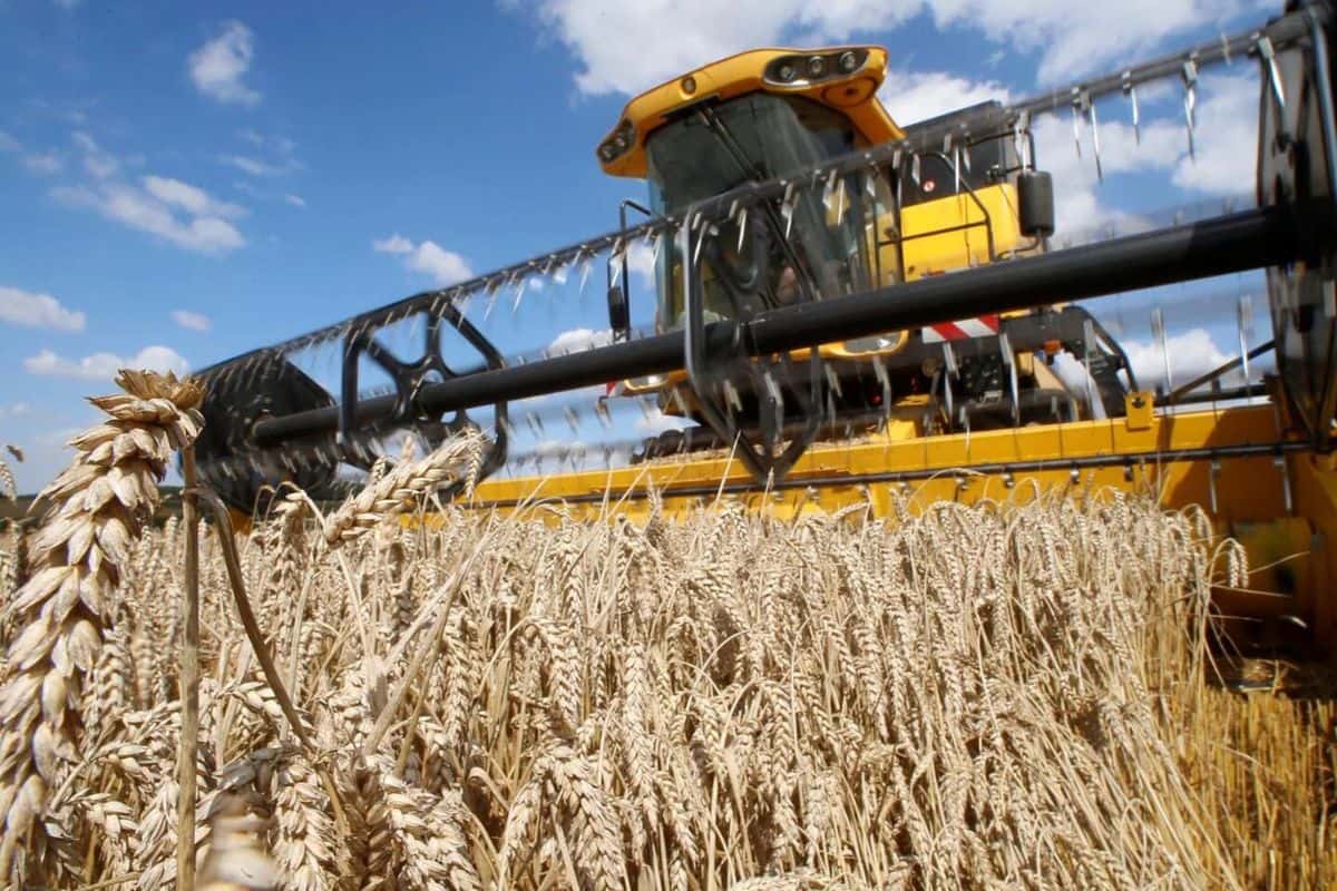 Argentina logró la apertura del mercado chino para su trigo