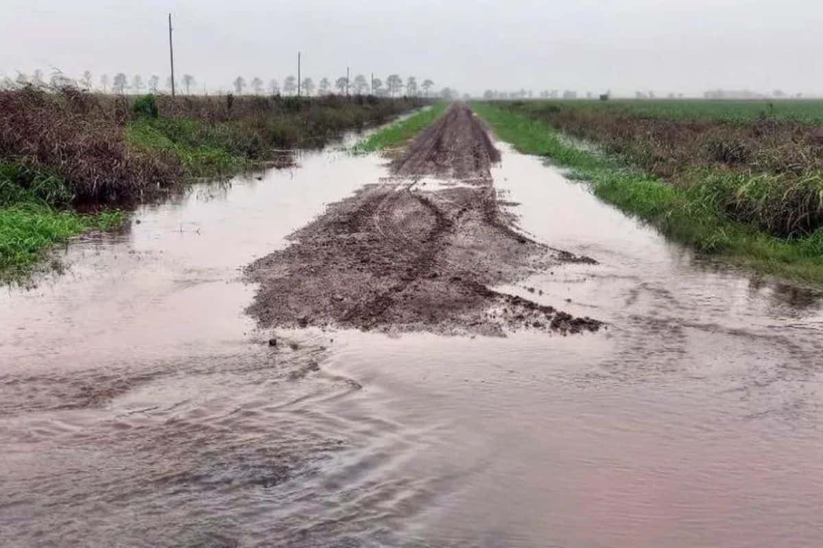 Las lluvias afectan severamente las cosechas del Centro-Norte santafesino